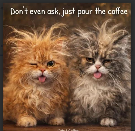 Screenshot 2026-04-24 at 5.56.41 PM.png